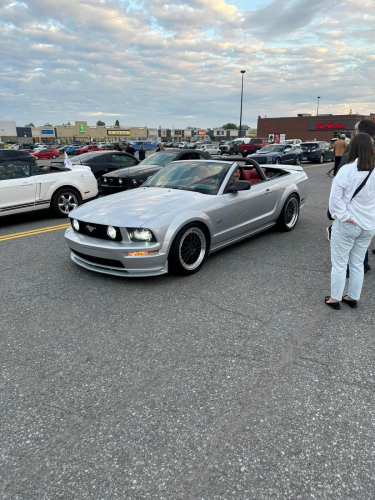 IMG 7474