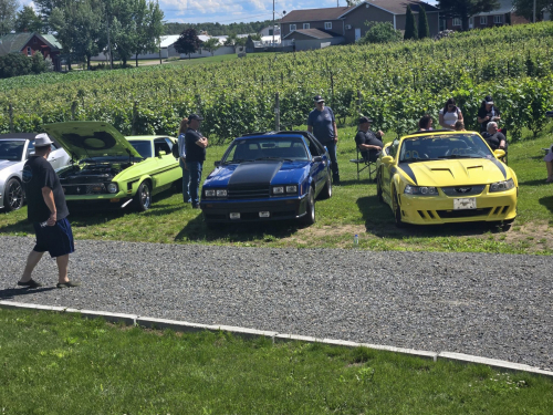 449691127 10169304350570413 6491940797283880354 n