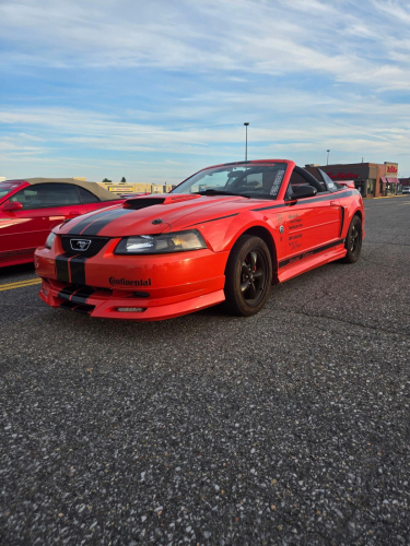 IMG 7354