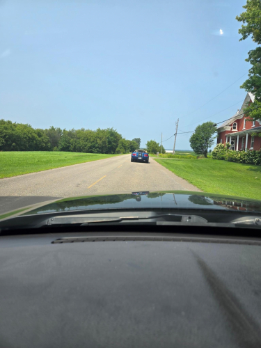 IMG 7289