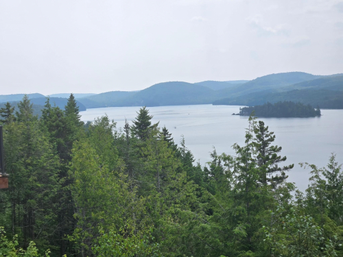 IMG 7297