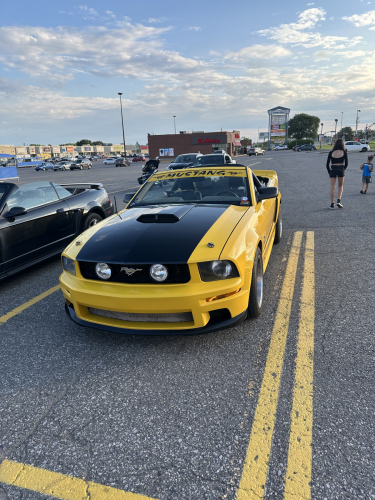 IMG 7711