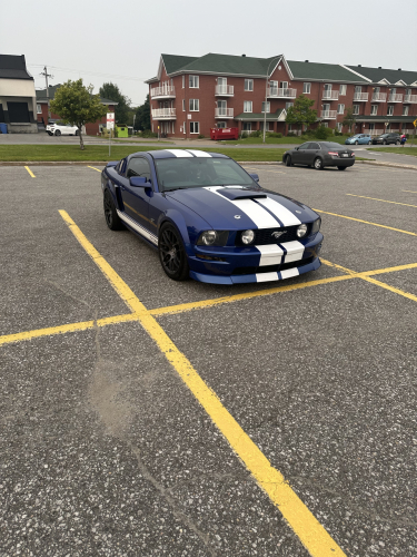 IMG 7833