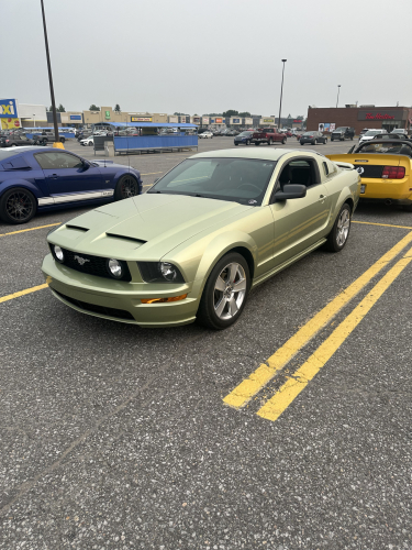 IMG 7843