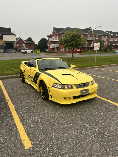 IMG 7853