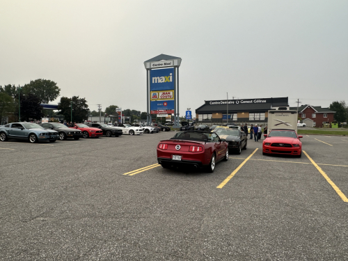 IMG 7856