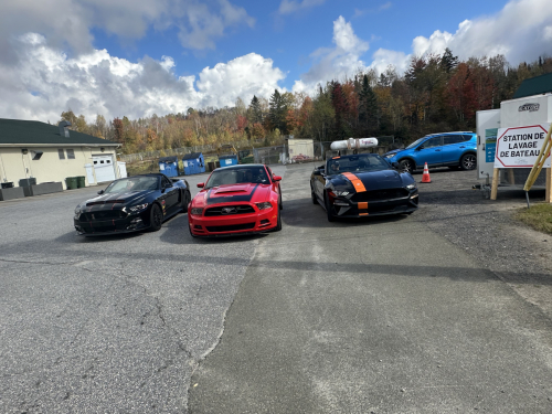 IMG 9075