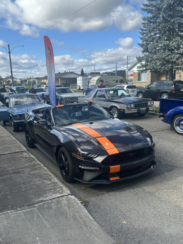 Festival de la Galette de Sarrazin - 13/10/2024