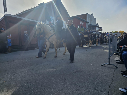 IMG 9467
