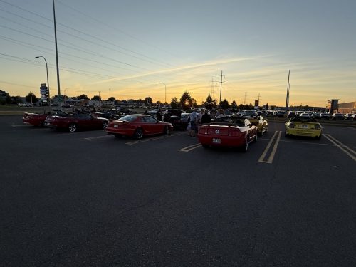IMG 3390