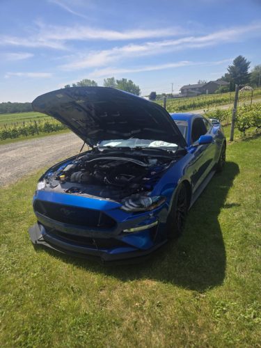 att.FA9zaKzIPJnegxyEg-lj-W719oKMyHzesCL27Hk5o74.dat