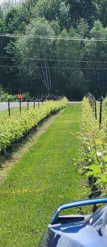 att.P2LY PcH1haUCHuw73JSpREiWCrMS5auSh9ais46Oyo