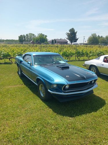 att.bmB9gkSOGAbzWgxszmbperW1hHEUMQ72ncQnap4DX6k