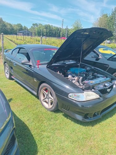 att.eZCa9XI8m6JXBm22Uoez07p9ZJdpGRtxmzbn 4-FI44