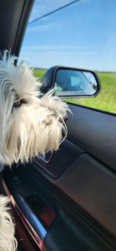 att.jG0XbdXS0M7sZ0larQYoHySZlkFdKPL1Le3XQKo-gGc