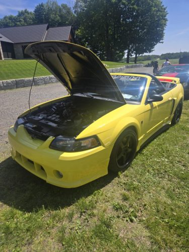 att.kRH6Zm7IgagQ67GE54P2YHGVRmdY8Qt-w2KJt0KwD1Y.dat