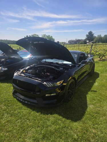 att.tnn-wv-qxMFh6N7mhXEHrEK0iMuXwPekSOHeZPk5ShI.dat