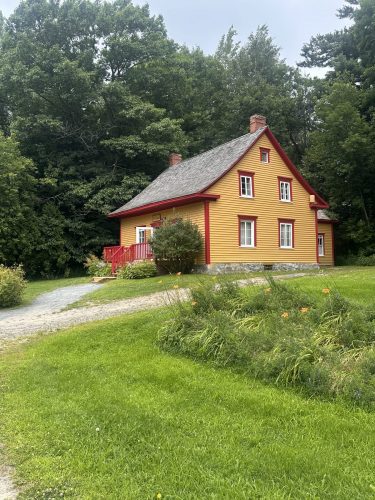 IMG 2942