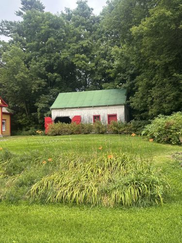 IMG 2943
