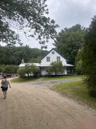 IMG 3020 (1)