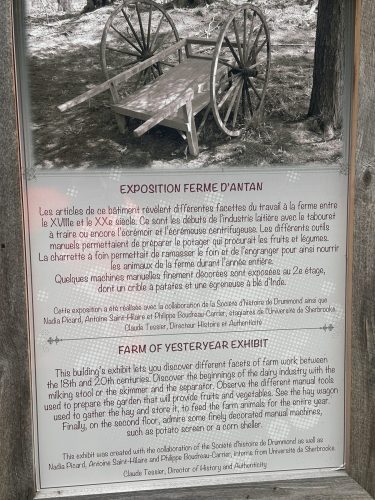 IMG 3022 (1)