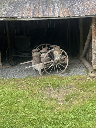 IMG 3026 (1)