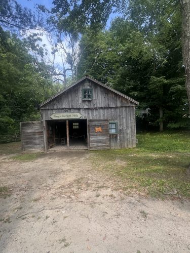 IMG 3053 (1)