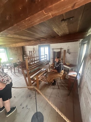 IMG 3056 (1)