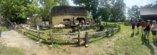 IMG 3061 (1) (1)