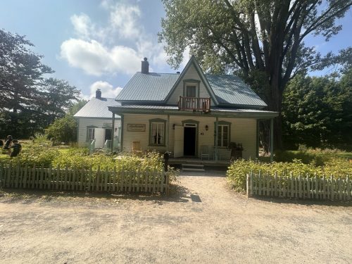 IMG 3062 (1)