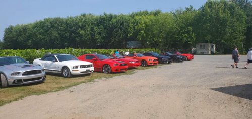 Resized 20250810 152734