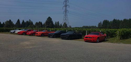 Resized 20250810 152814