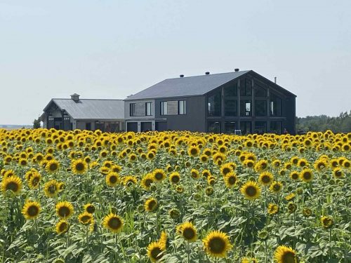 att.AdacRJB-8LDaFx M2016kRz1N6KZUVV23 X-y4f-fWo