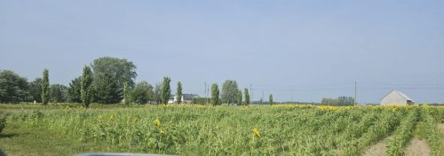 att.KmHqasfaXCcQoffxQMjhurvnEywSILAuctDnQtQN7xI