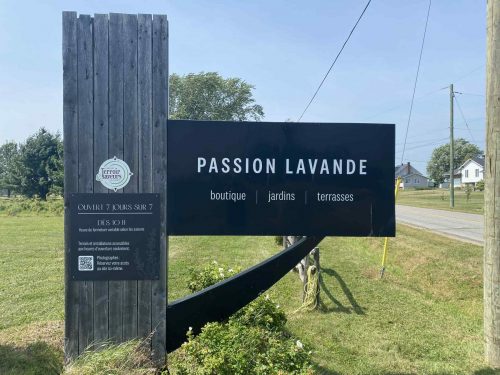 Passion Lavande et Domaine Gélinas 10/08/2025