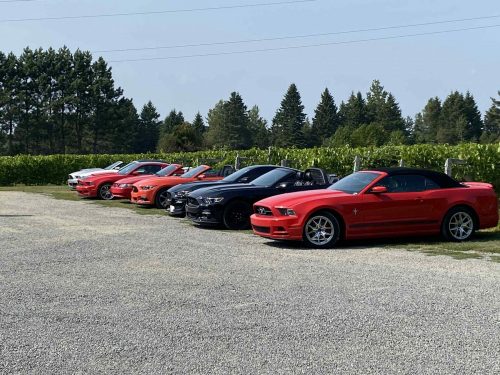 att.fJ5OYRTJoWv0Y2kNY9q-QnPdjZzekaXILfokk5JzY24