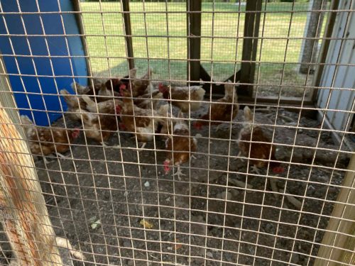 att.oQWwoJbHIo1P9peLfS5vBGehQ9bTq4ESHpLZJN7dm2g