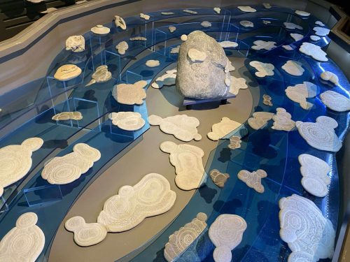 fa54cbf0b1c2c1d16ddf5d3633fe6948