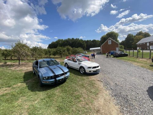 0e9d765ad0435a020575f15cfbbd2d70