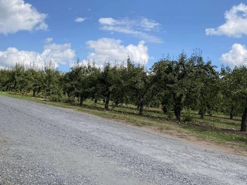 57d367a2e551dea336aec8ea16db6f7d