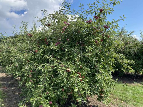 eaf74cb7b5eb0804a297b16b69f4725f