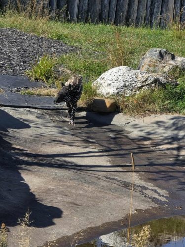 0aa4773b9a6b72fb9b0562eb7b891ba6