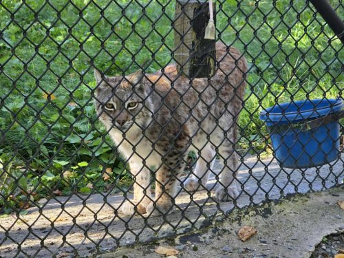 3011b766fcba95f77e48190507c19ea3