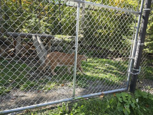 4ef8e400e9fa65aa486003a48c4e0b91