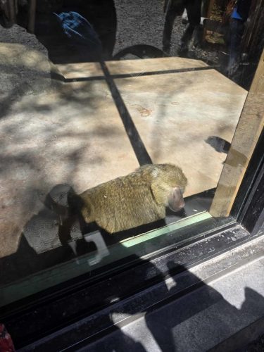 64b75623b5c7c0b6edef664269a4d853