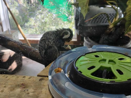 86714e89e7b173f73c9cf4ab4b323c76