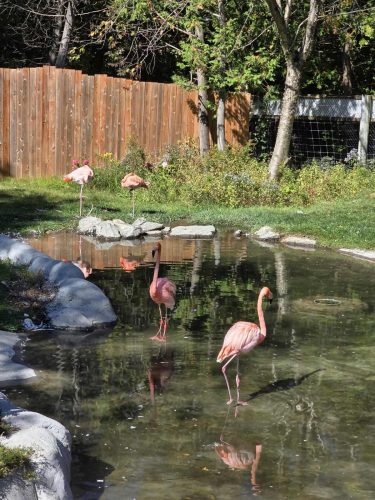 a37853ab9783e9563a79b1bd86ee457f