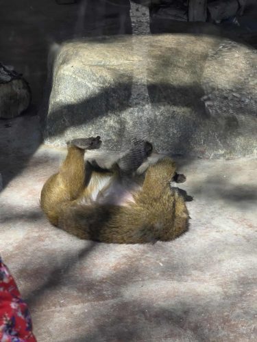 b1d41018043837e533418d2e108ceca4