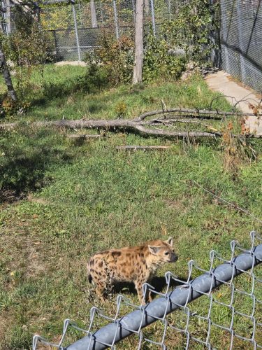 cd0005014ecc71504777462fad86aa8c