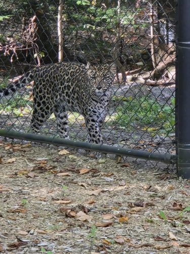 d5104830347c95f7dd406d77b9c3482c